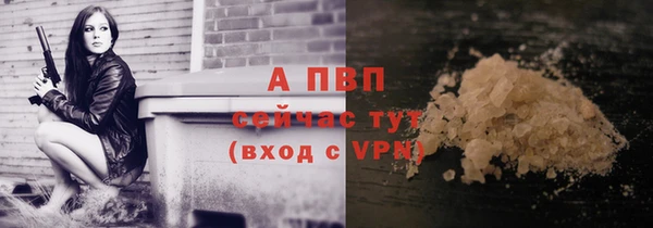 таблы Богородицк