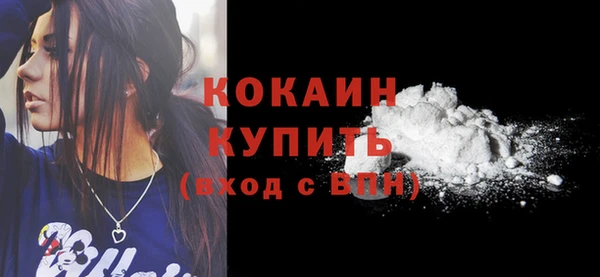 таблы Богородицк