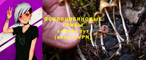 таблы Богородицк